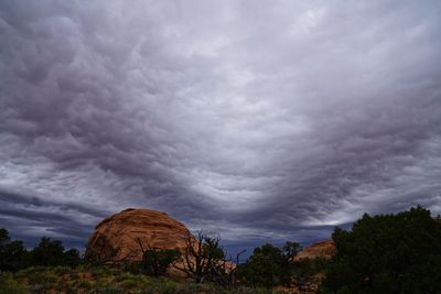 Low angle view of trees against cloudy sky