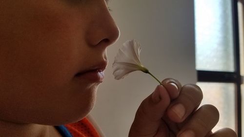 Close-up of boy smelling flower at home