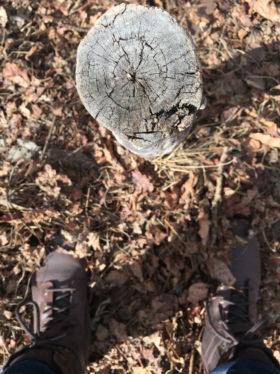 LOW SECTION OF PERSON WEARING SHOES OUTDOORS