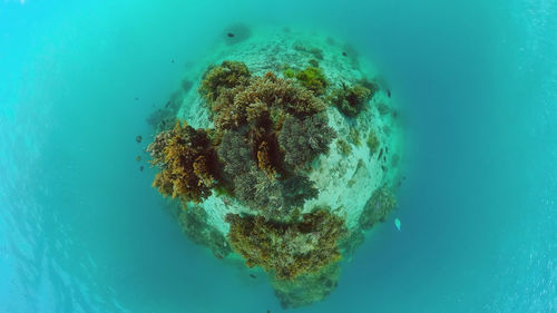 sea