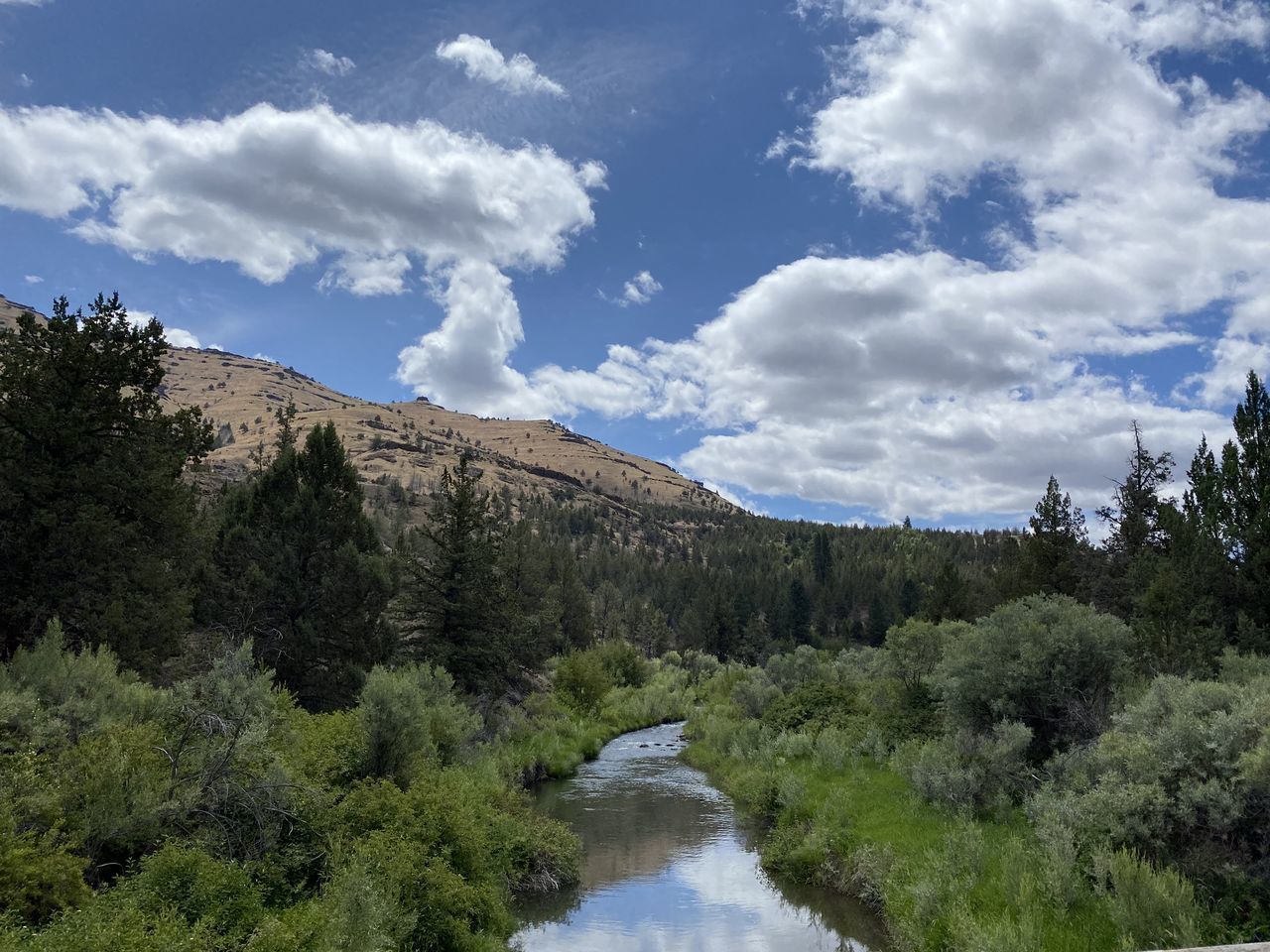 SCENIC VIEW OF RIVER AMIDST TREES AND MOUNTAINS AGAINST SKY