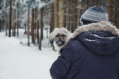 Dog on snow covered tree