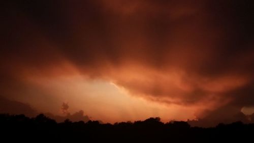Silhouette trees against dramatic sky during sunset