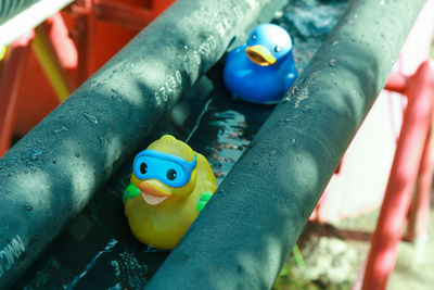 High angle view line of two rubber ducks floating along water channel