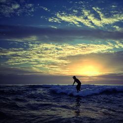 Silhouette of people surfing in sea