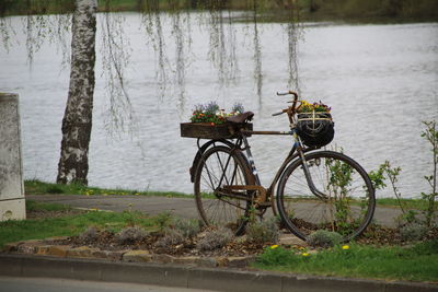 Bicycle by river