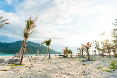 Scenic view of beach against sky