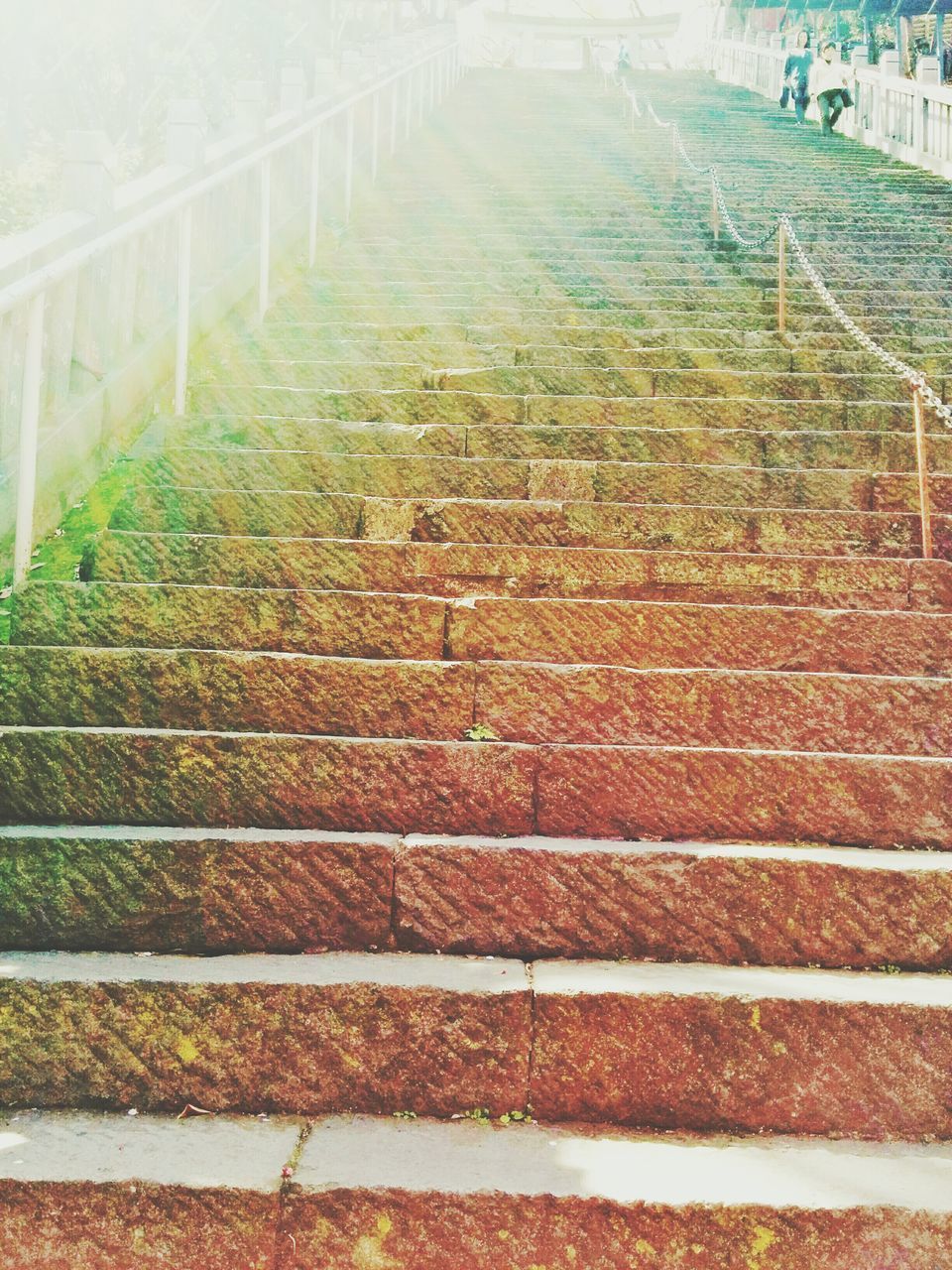 the way forward, steps, diminishing perspective, grass, built structure, fence, railing, plant, architecture, day, sunlight, vanishing point, outdoors, field, no people, high angle view, footpath, transportation, building exterior, empty