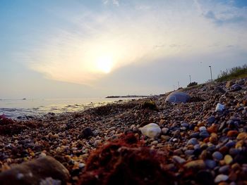 Scenic view of sea at sunset