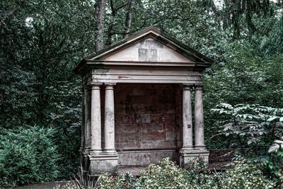 Exterior of house and trees in forest