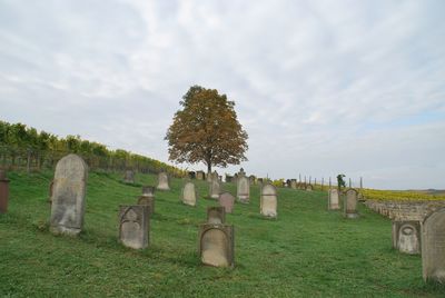 Trees on field against cloudy sky