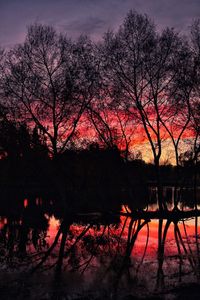 Silhouette bare trees by lake against sky during sunset