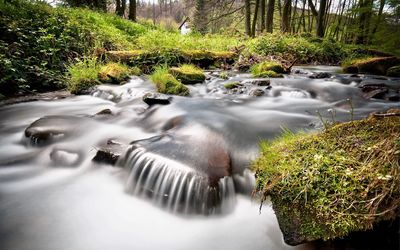 Scenic view of waterfall in forest