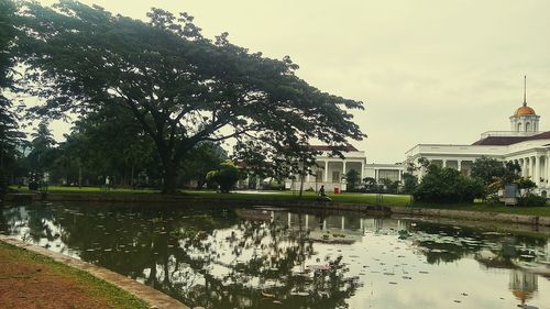 Reflection of trees in water against sky