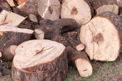 Full frame shot of logs in forest