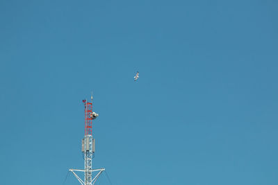 Low angle view of bird flying by communications tower against clear sky