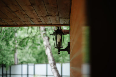 Low angle view of cat on window of building