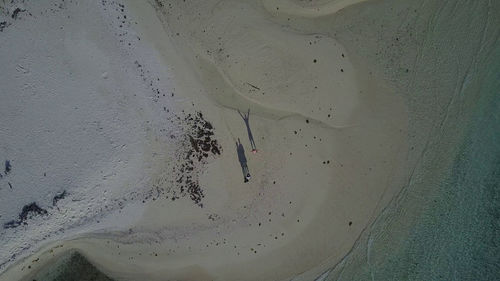 High angle view of starfish on sand at beach