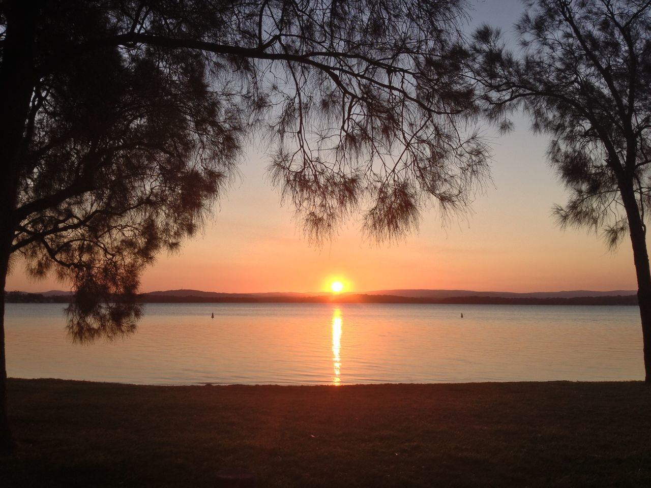 sunset, tranquil scene, tranquility, scenics, water, sun, tree, silhouette, beauty in nature, lake, nature, sky, reflection, idyllic, orange color, sunlight, branch, lakeshore, non-urban scene, majestic