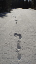 High angle view of snow on land