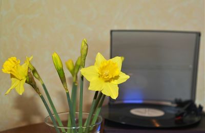 Close-up of yellow flower vase on table