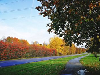 Road amidst trees during autumn