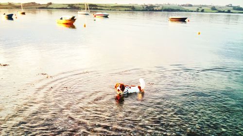 View of people in water