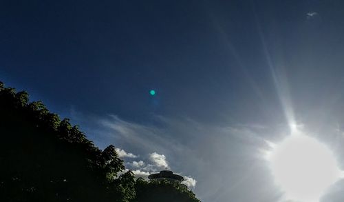 Low angle view of trees against blue sky