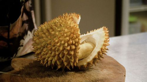 Hand peeling and cuts durian fruit. caucasian man peeling durian in kitchen room