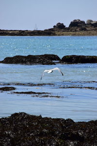 Scenic view of sea shore against sky