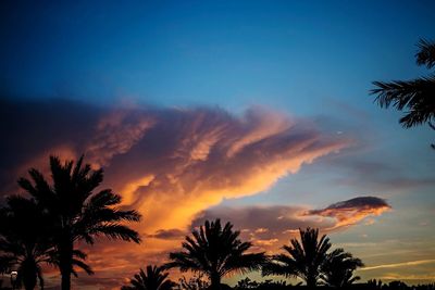 Low angle view of silhouette trees against dramatic sky