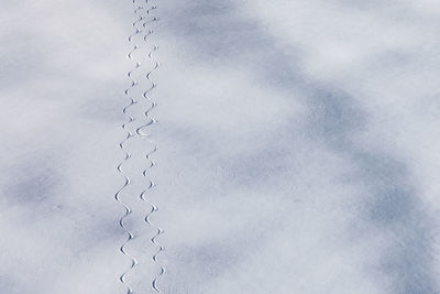 Low angle view of barbed wire against sky