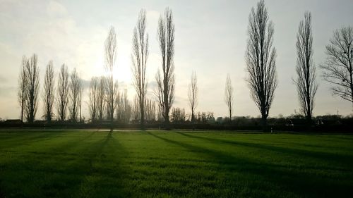 Scenic view of grassy field against sky