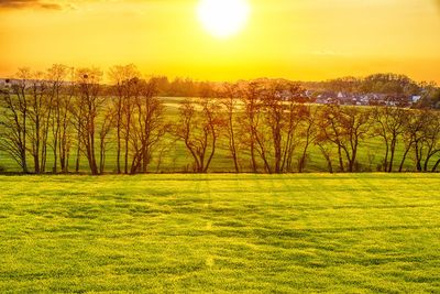 Scenic view of field against sky during sunset