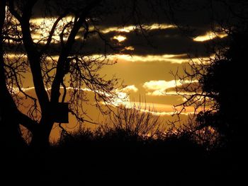 Silhouette trees against sky during sunset
