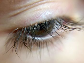 Close-up of human eye