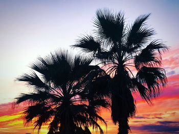 Low angle view of silhouette palm tree against clear sky
