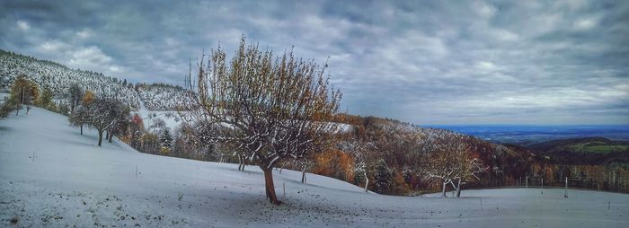 Trees on snow covered landscape against sky