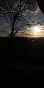 Silhouette bare trees on field against sky at sunset