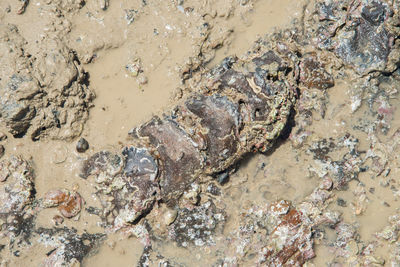 High angle view of water on rock