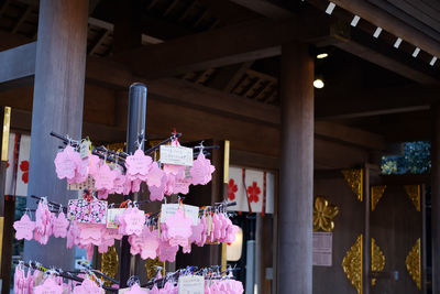 Low angle view of flowers hanging on built structure