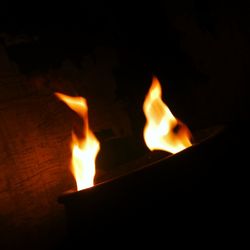 Close-up of fire at night