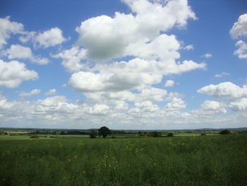 Scenic view of field against cloudy sky