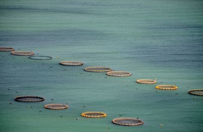 High angle view of calm blue sea