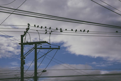 Low angle view of birds flying against sky