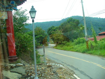 Empty road along plants