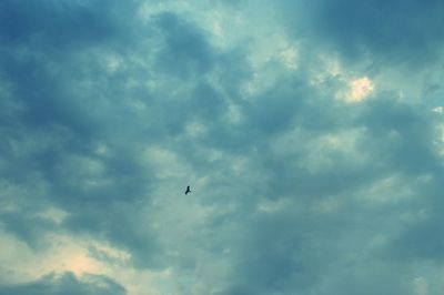 Low angle view of airplane flying in sky
