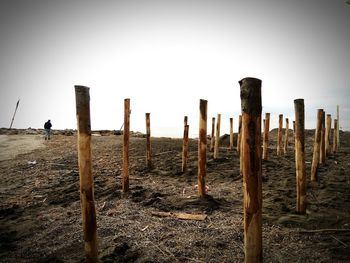 Wooden posts on field against clear sky
