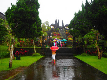 Rear view of woman with umbrella against trees