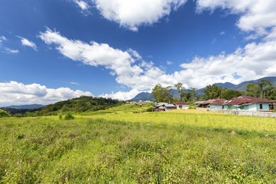 Scenic view of field against sky